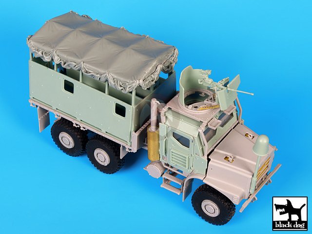 T35126-1.jpg