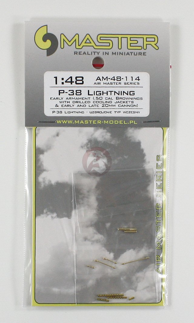 P-38 LIGHTNING ARMAMENT SET 20mm & 0,5in BROWNING BARREL TIPS #48023 1/48 MASTER
